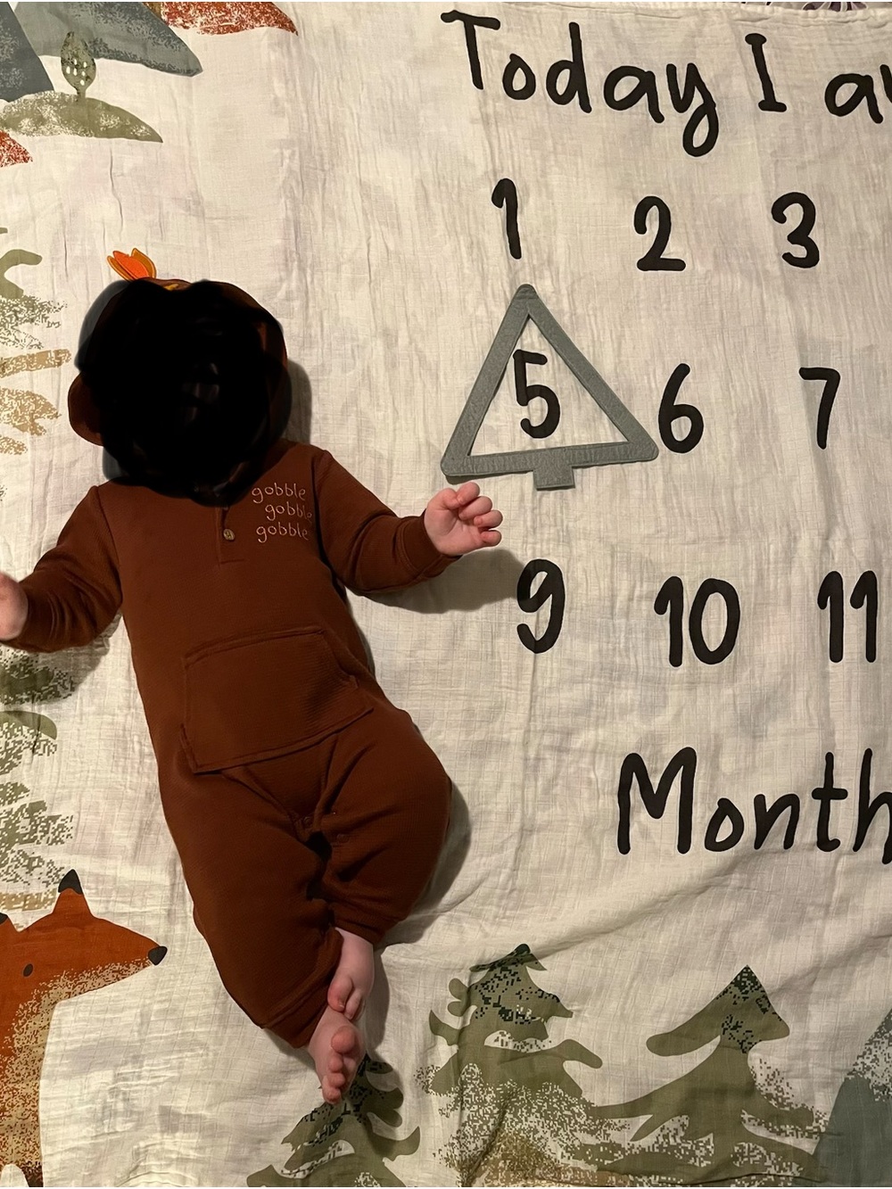 Baby Monthly Milestone Blanket with Fox